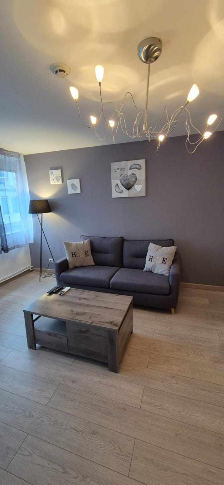 Nouveau !! Appartement Confortable Totalement Renove Avec Parking Gratuit - Hypercentre De Нанси Екстериор снимка